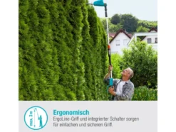 Akku-Teleskop-Heckenschere »THS 42/18V Power For All«