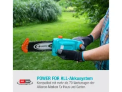 Akku-Teleskop-Hochentaster »TCS 20/18V P4A«, Ready-To-Use Set, 18 V