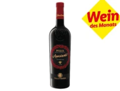 Appassimento Puglia IGT halbtrocken, Rotwein 2025