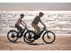 ATB E-Bike Terra 2.2 29 Zoll