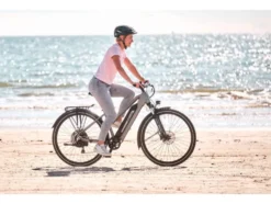 ATB E-Bike Terra 2.2 29 Zoll