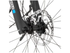 ATB E-Bike Terra 2.2 29 Zoll