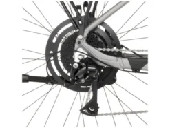 ATB E-Bike Terra 2.2 29 Zoll