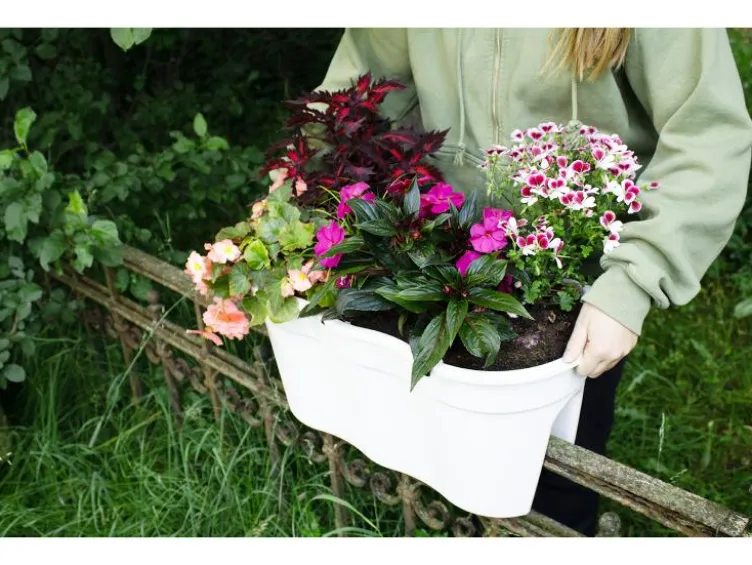 Balkonkasten »Flowerclip XL«, 2er Set