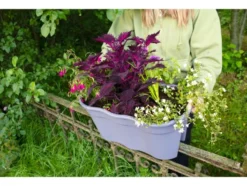 Balkonkasten »Flowerclip XL«, 2er Set