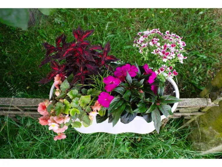 Balkonkasten »Flowerclip XL«, 2er Set