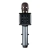 Bluetooth®-Karaoke-Mikrofon