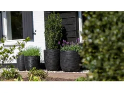 Blumentopf, kugelförmig