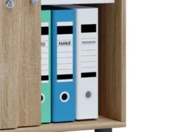 Büroschrank »Lona«, mit stabilen Fachböden