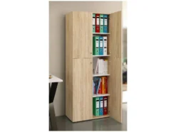Büroschrank »Lona«, mit stabilen Fachböden