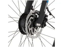 City E-Bike Cita 2403/2404 28 Zoll