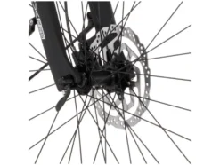 City E-Bike Cita 2403/2404 28 Zoll
