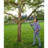 combisystem-Gartensäge »300 PP«