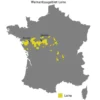 Crémant de Loire Cuvée Prestige AOP brut, Schaumwein 2024