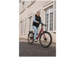 Damen Jeans, Straight Fit, normale Leibhöhe