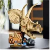 76969 Dinosaurier-Fossilien: Triceratops-Schädel