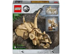 76969 Dinosaurier-Fossilien: Triceratops-Schädel