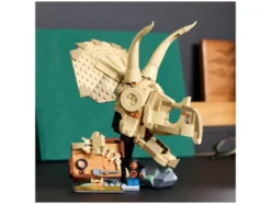 76969 Dinosaurier-Fossilien: Triceratops-Schädel
