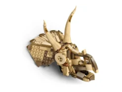 76969 Dinosaurier-Fossilien: Triceratops-Schädel