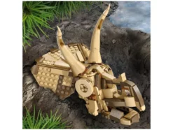 76969 Dinosaurier-Fossilien: Triceratops-Schädel
