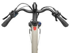 E-Bike City Multitalent RC680 28 Zoll Seidengrau