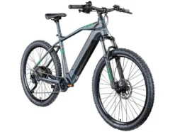 E-Bike Mountainbike »Z808 650B«, MTB, 27,5 Zoll / 29 Zoll
