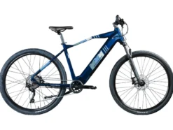 E-Bike Mountainbike »Z808 650B«, MTB, 27,5 Zoll / 29 Zoll