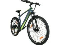 E-Bike Racing Mountainbike »R8 Flex III«, 27,5 Zoll