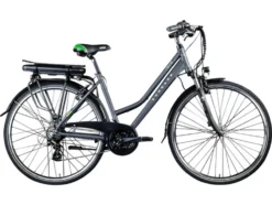 E-Bike Trekkingrad »Z802 700c«, 28 Zoll