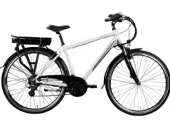 E-Bike Trekkingrad »Z802 700c«, 28 Zoll