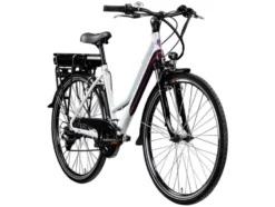 E-Bike Trekkingrad »Z802 700c«, 28 Zoll