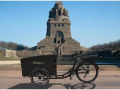 E-Lastenrad T1 Grand Trunk