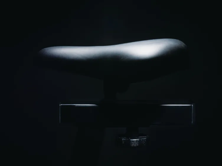 Ergometer »AL 2000 Pro«