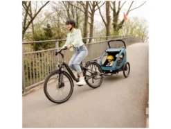 Fahrradanhänger »Dryk Duo«