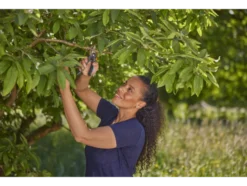 Gartenschere »PremiumCut«, mit PowerCoating