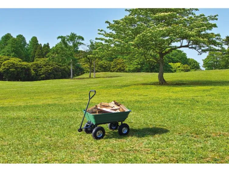 Güde Gartenwagen GGW 250 SET