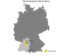 Grauburgunder Württemberg QbA trocken, Weißwein 2023