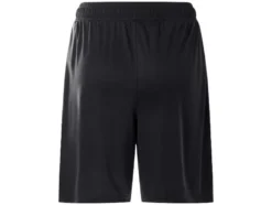 Herren Funktionsshorts »UA Challenger Core«