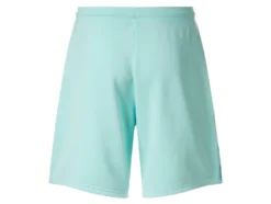 Herren Sweatshorts mit HeiQ Technologie Mint