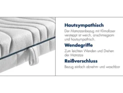 irisette® 7-Zonen Tonnentaschenfederkern-Matratze »Sylt«