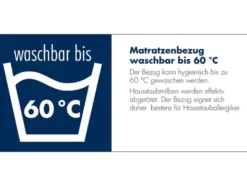 irisette® 7-Zonen Tonnentaschenfederkern-Matratze »Sylt«