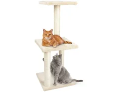 Katzenkratzbaum