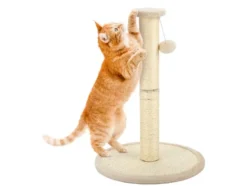 Katzen-Kratzbaum