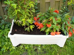 KHW Calypso Pflanzkasten mit Bewässerungssystem, B 79 x T 35 x H 33 cm