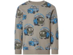 Kleinkinder Sweatpullover