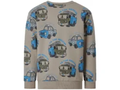Kleinkinder Sweatpullover