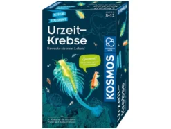 Kosmos Mitbringexperimente