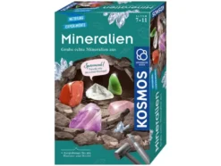 Kosmos Mitbringexperimente
