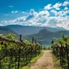Lagrein Alto Adige DOC trocken, Rotwein 2024