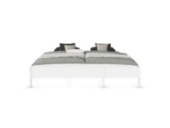 Mare Bett